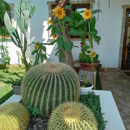 Raggio Di Sole Parcheggio Privato 3*